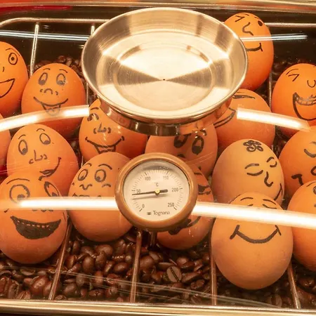 - The Niu, Blade By Ihg 호텔 졸링겐