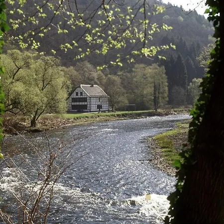 - The Niu, Blade By Ihg 4* זולינגן