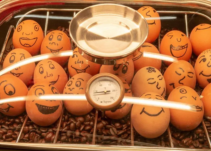 - The Niu, Blade By Ihg 酒店 索林根